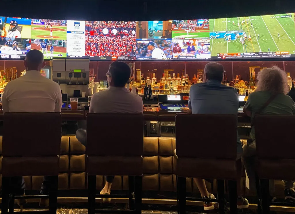 Responsible gambling, photo of men gambling at a bar